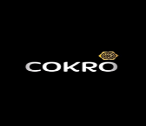 BLUDER COKRO
